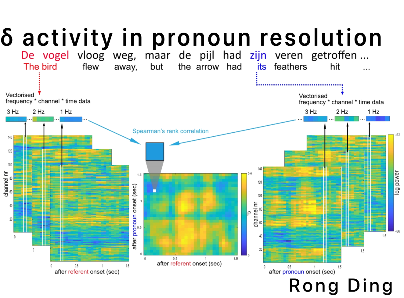 Delta activity in pronoun resolution