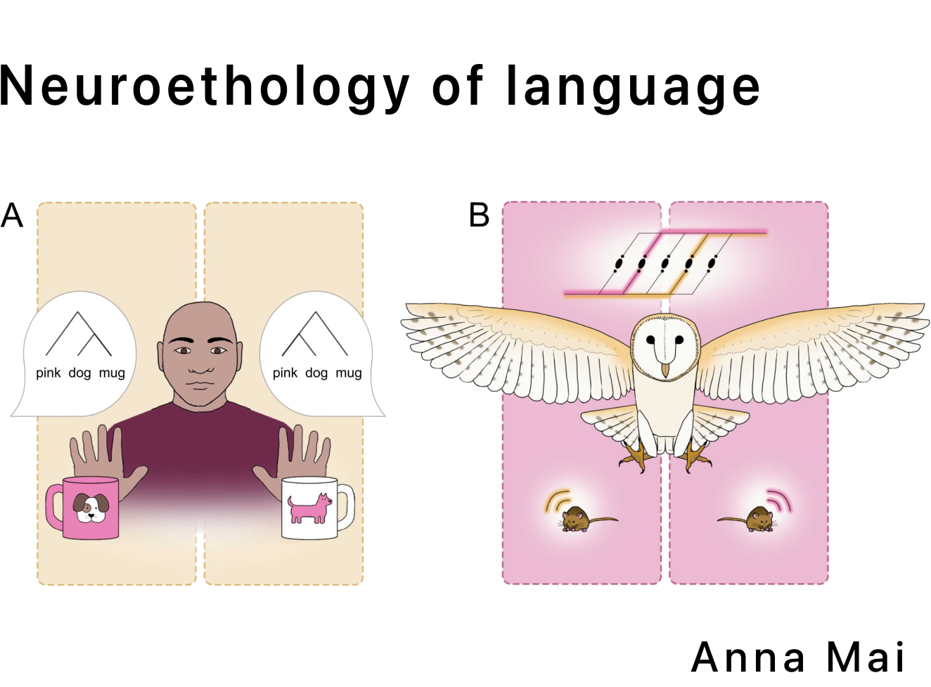 Neuroethology of language