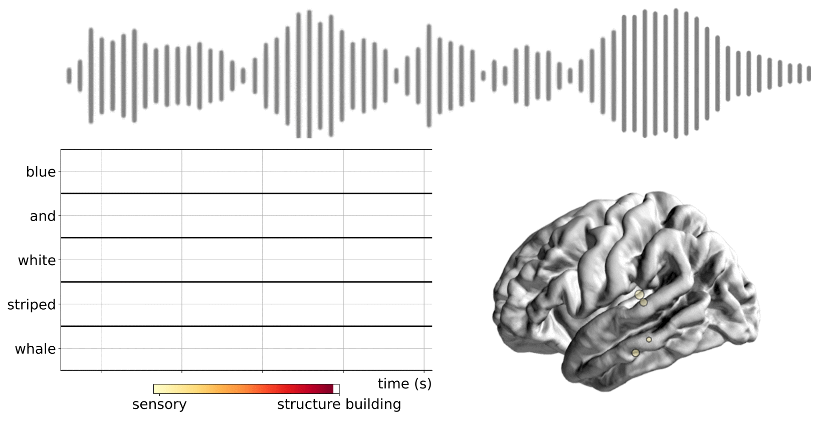 Distributed brain dynamics subserving language processing.